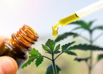 What Are Delta Munchies and How Do They Work