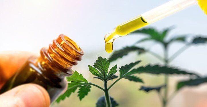 What Are Delta Munchies and How Do They Work