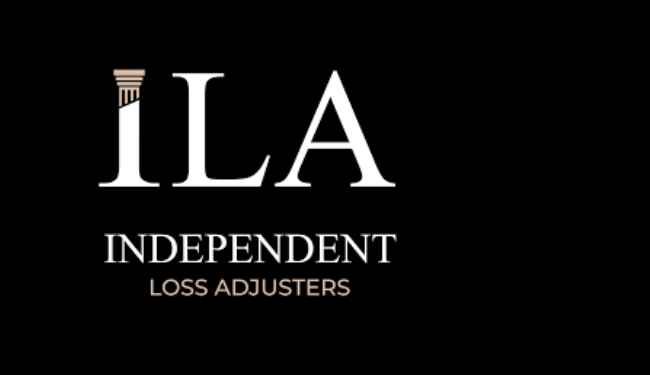 Independent Loss Assessor