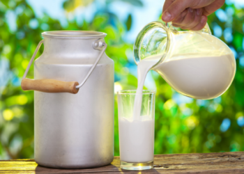 wellhealthorganic buffalo milk tag