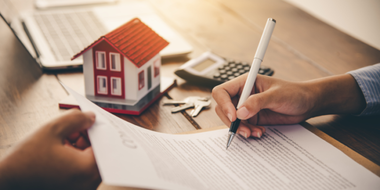Understanding the Role of a Contract Paraplanner in the Financial Industry