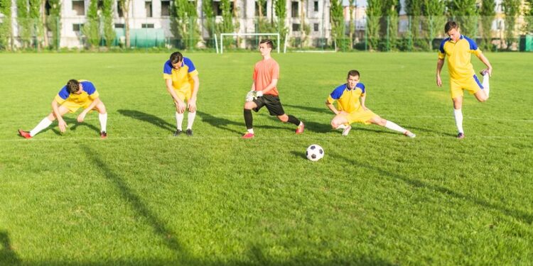 Artificial Turf Suppliers