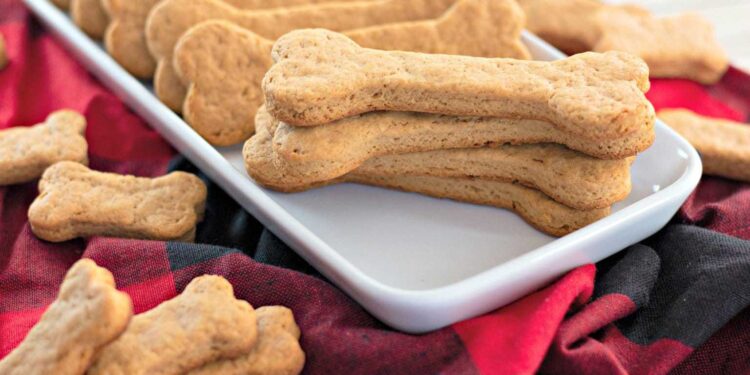 Dog Treats