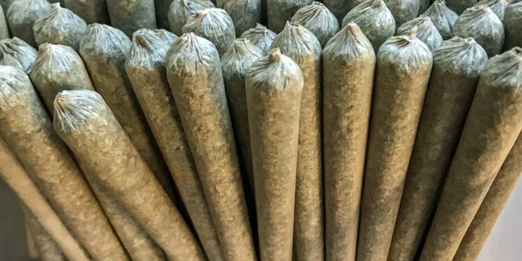 Pre-Rolled Joint Packs