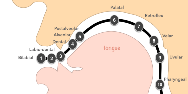 Speech Sound Simplification