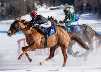 How Fast Can a Horse Run