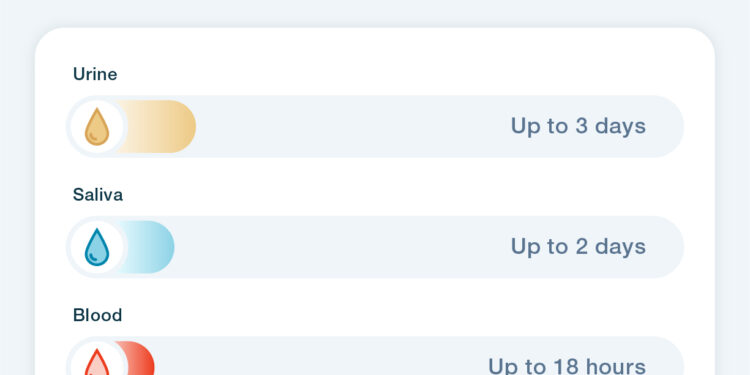 How Long Does Percocet Stay in Your System