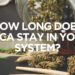 How Long Does Thca Stay in Your System