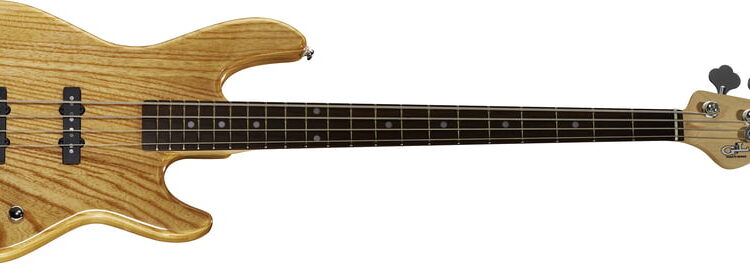 How Many Strings Does a Bass Have