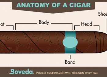 How to Cut a Cigar