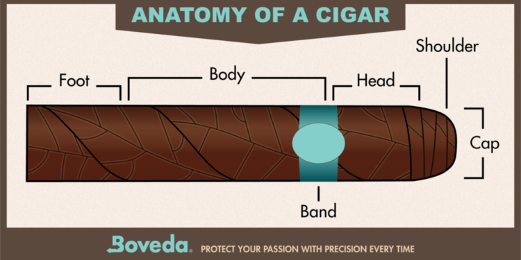 How to Cut a Cigar