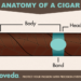How to Cut a Cigar