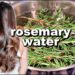How to Make Rosemary Water for Hair