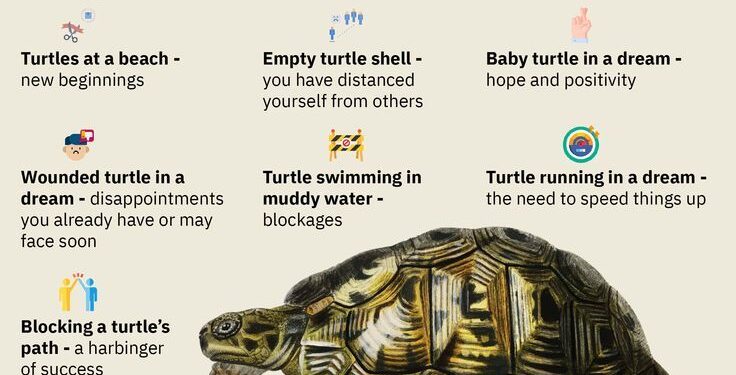 Dreams About Turtles