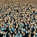 the human gathering fake